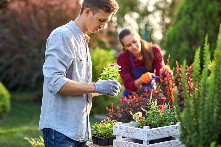 Las Amistades Son Como Plantas Que Necesitan Ser Regadas Frecuentemente Para Ayudarlas A Florecer