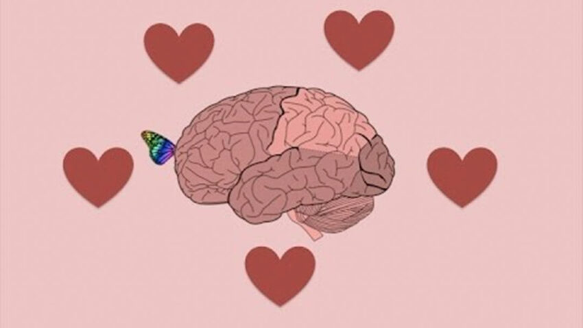 cerebro enamorado